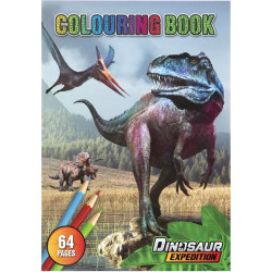 Colouring Book Dino A4 64 Pages, Creative Craft Group